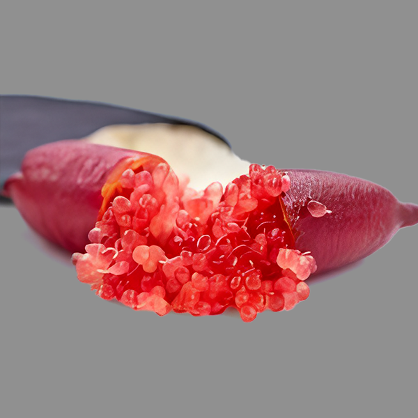 Caviar Lime
