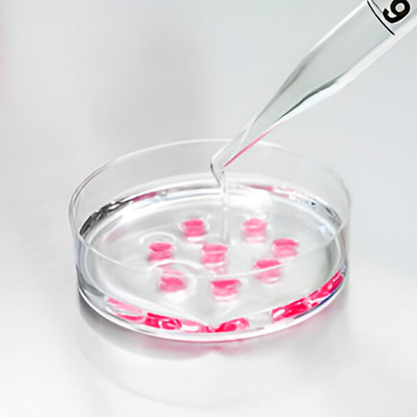 Lingonberry Stem Cells Extract