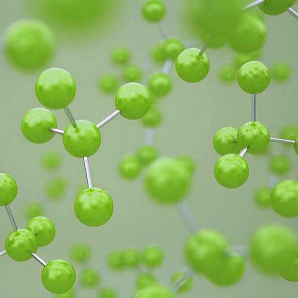 Polylysine