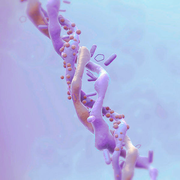 Vegan Biomimetic Marine Collagen