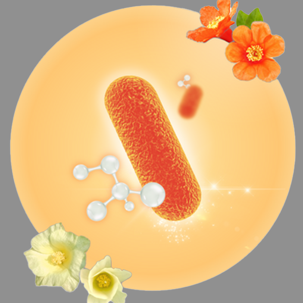 Prebiotics