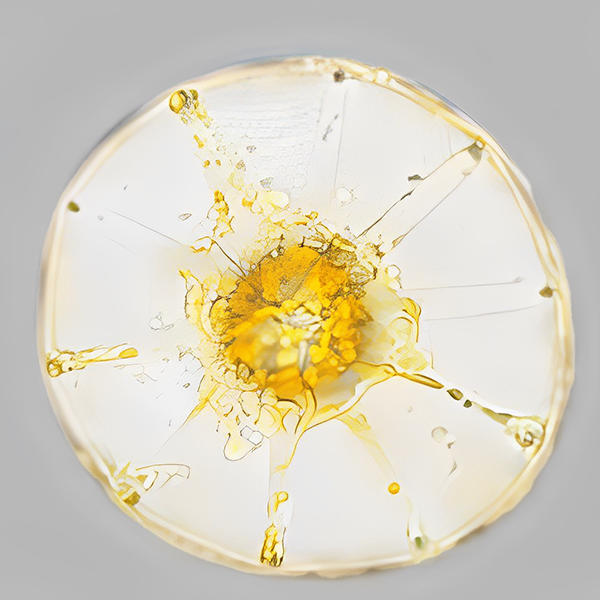 Plankton Extract: