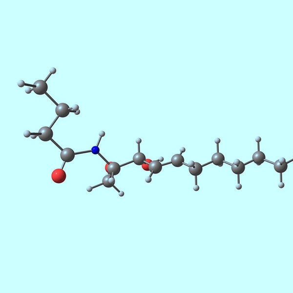 Ceramide Complex