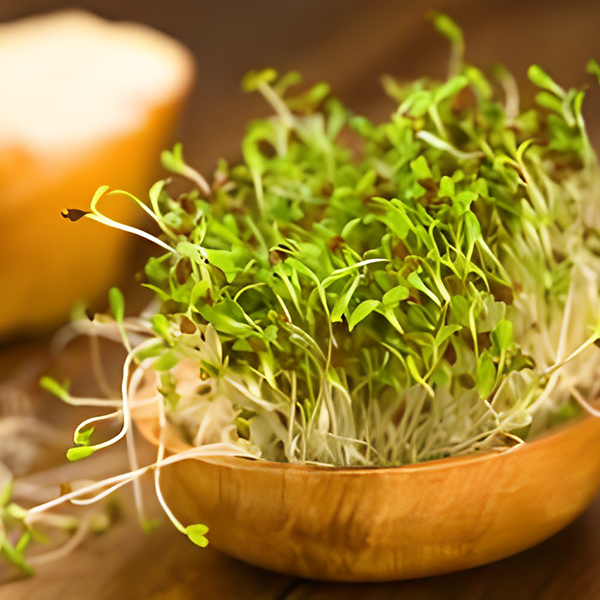 Alfalfa Extract + Lupine Protein