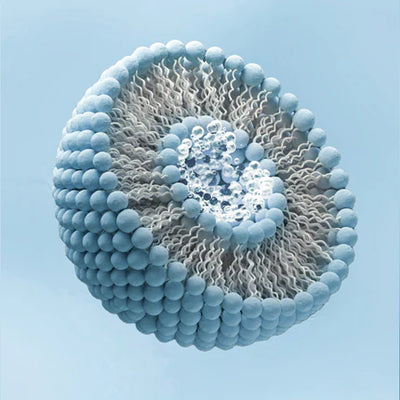 Encapsulation Technology – The Boosters