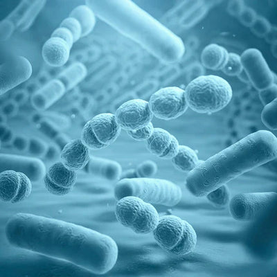Microbiome Technology – The Balancers
