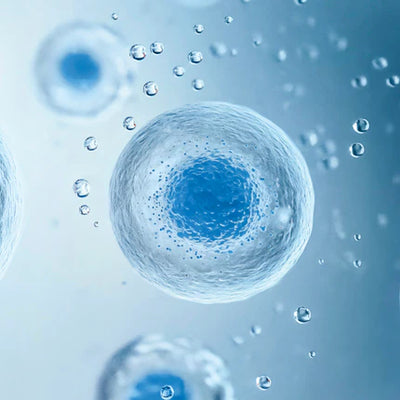 Plant Stem Cell Technology – The Regenerators